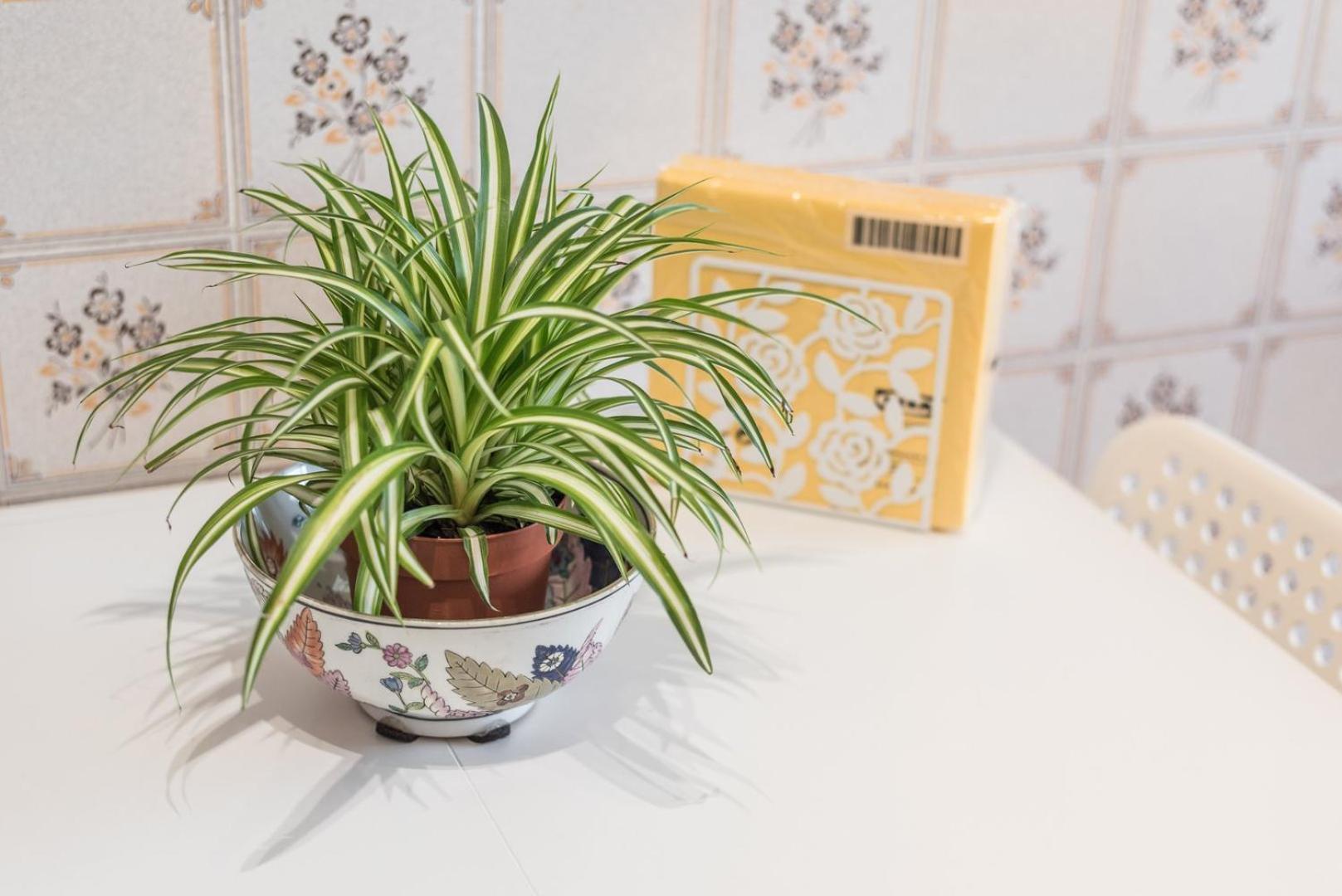 Apartamento Guestready - Eclectic Haven In The Heart Of Oporto Exterior foto